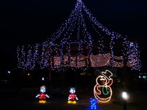 DSC03054