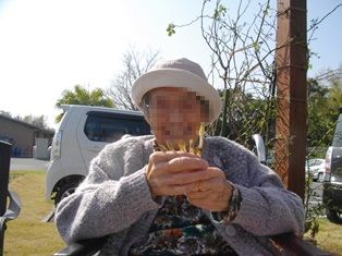 IMGP3735