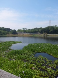 DSCF82442