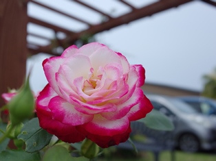 R0002454